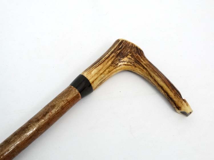 Whistle Stick : A fine Antler handled Walking and Whistle Stick with Buffalo horn collar and Hazel - Image 6 of 7