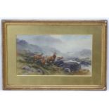 Tom Rowden (1842-1926), Watercolour, Red deer herd and stag in the Highlands beside a burn,