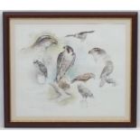 Falconing: Birds of Prey, After Joel Kirk (1948), Coloured print, Peregrine Falcon,