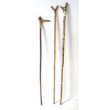 Walking Sticks: A collection of three antler handles sticks to include a National Organisation of