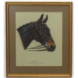 Horse: Mary Browning (XX), Pastels, Head of 'Bayleaf,