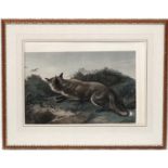 Hunting / Widlife, After Charles George Lewis (1808-1880) after Edwin Landseer, Coloured etching,