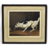 Dog: T Fairland after JAMES WARD RA (1769-1859), Coloured lithograph,