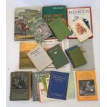 Books: A large collection of sporting books,