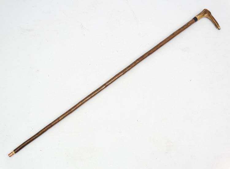 Whistle Stick : A fine Antler handled Walking and Whistle Stick with Buffalo horn collar and Hazel - Image 5 of 7