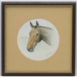 Horse: Jane Shirley XX, Watercolour, a Tondo, Head of a bay horse,