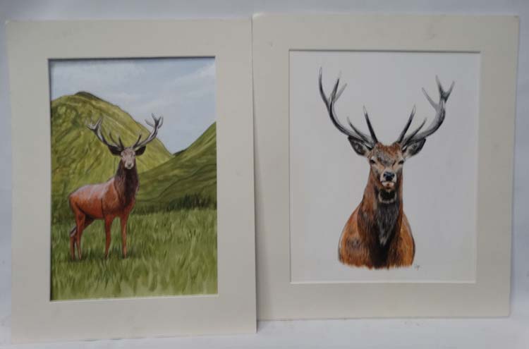 2 mounted sketches of red stags CONDITION: Please Note - we do not make reference