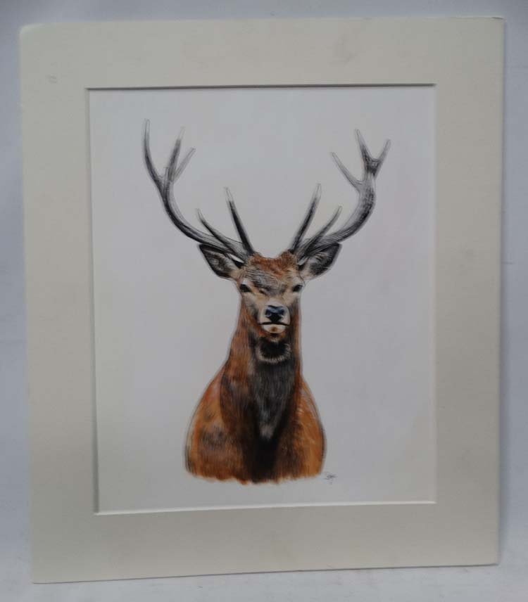 2 mounted sketches of red stags CONDITION: Please Note - we do not make reference - Image 3 of 5