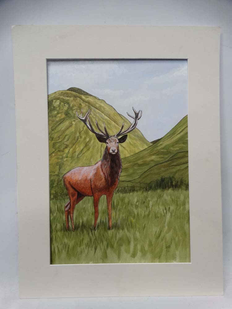 2 mounted sketches of red stags CONDITION: Please Note - we do not make reference - Image 2 of 5