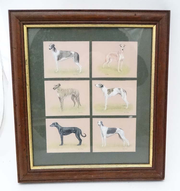 Set of six 'Imperial Greyhounds ' mounted in frame, by M Phillips,