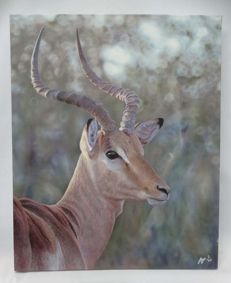 Limited edition print depicting African deer CONDITION: Please Note - we do not