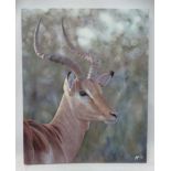 Limited edition print depicting African deer CONDITION: Please Note - we do not