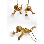Cherub Hanging Lights : A pair of gilt hanging putti with glass petalled shades ,