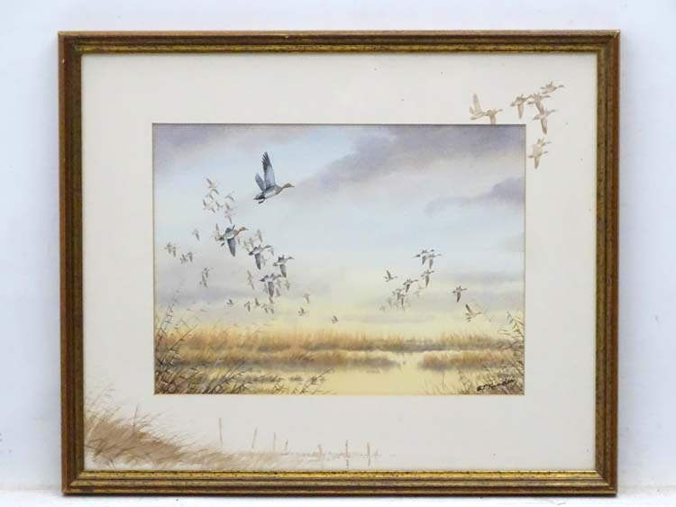 Simon T Trinder (XX-XXI), Watercolour with border mount illustrations,