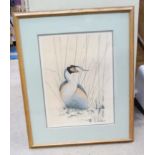 Artist's Proof by Alistair Ribertson of a Great Crested Grebe CONDITION: Please Note