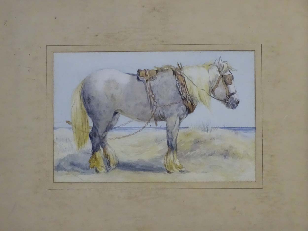 Early - mid XX Equine School, Watercolour, - Image 3 of 3