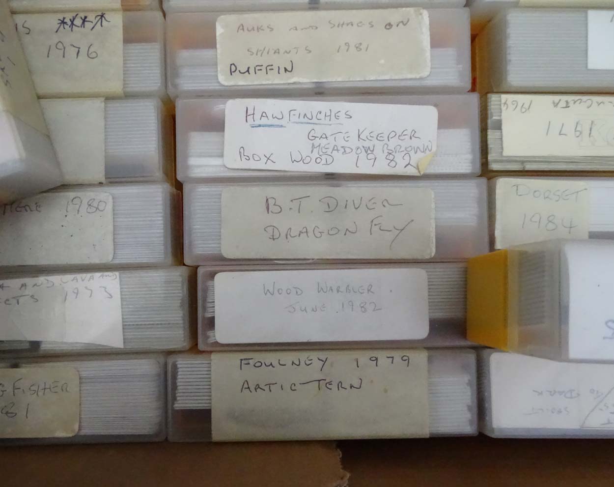 A large quantity of assorted photographs / slides etc mostly to include natural History subjects - Image 9 of 18