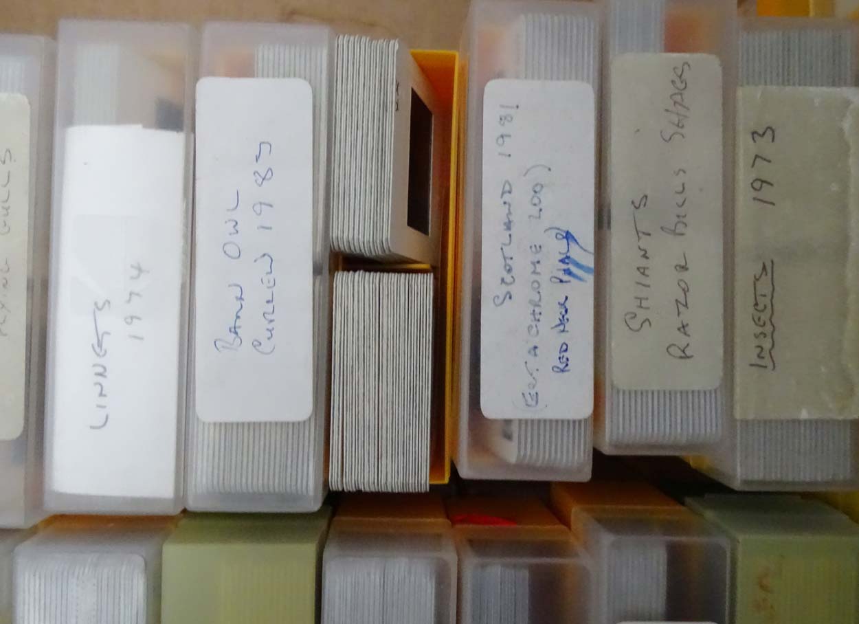 A large quantity of assorted photographs / slides etc mostly to include natural History subjects - Image 4 of 18