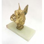 A gilded bust head of a boxer / Great Dane dog upon a hardstone socle.