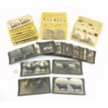 Stereoscopic slides : to include animal , botanical and historical subject matter.