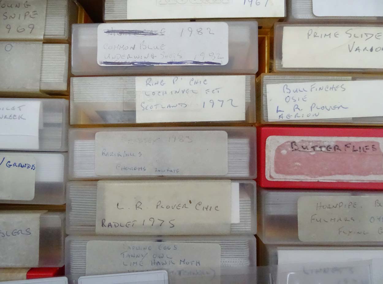 A large quantity of assorted photographs / slides etc mostly to include natural History subjects - Image 3 of 18