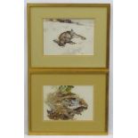 Whiteley XIX-XX, Watercolour, a pair, English Partridge & Rabbit in the snow, Each with signature,