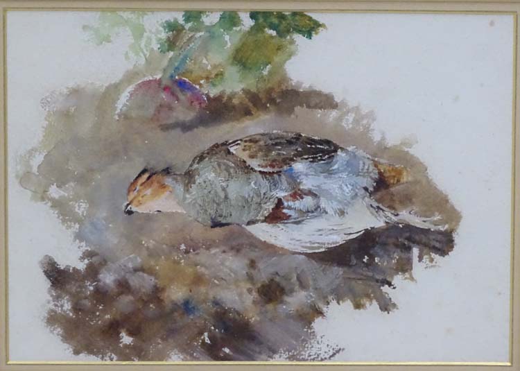 Whiteley XIX-XX, Watercolour, a pair, English Partridge & Rabbit in the snow, Each with signature, - Image 4 of 4