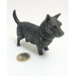 A Victorian cold painted base metal model of a terrier dog.
