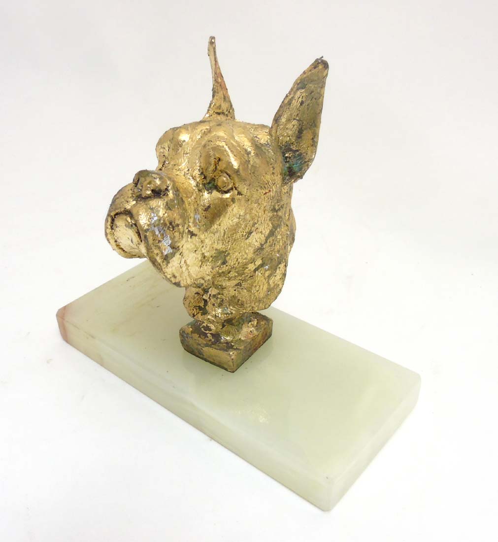 A gilded bust head of a boxer / Great Dane dog upon a hardstone socle.