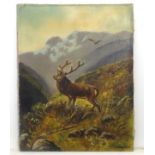 Alfred Jansen (1859-1935), Oil on canvas, Stag deer in a Highland landscape,