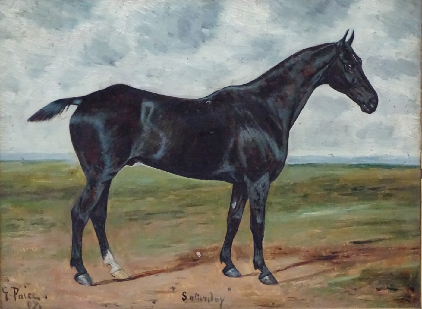 George Paice (1854-1925) Equine School Oil on board 'Saturday 97' portrait of a Black Horse with - Image 3 of 5