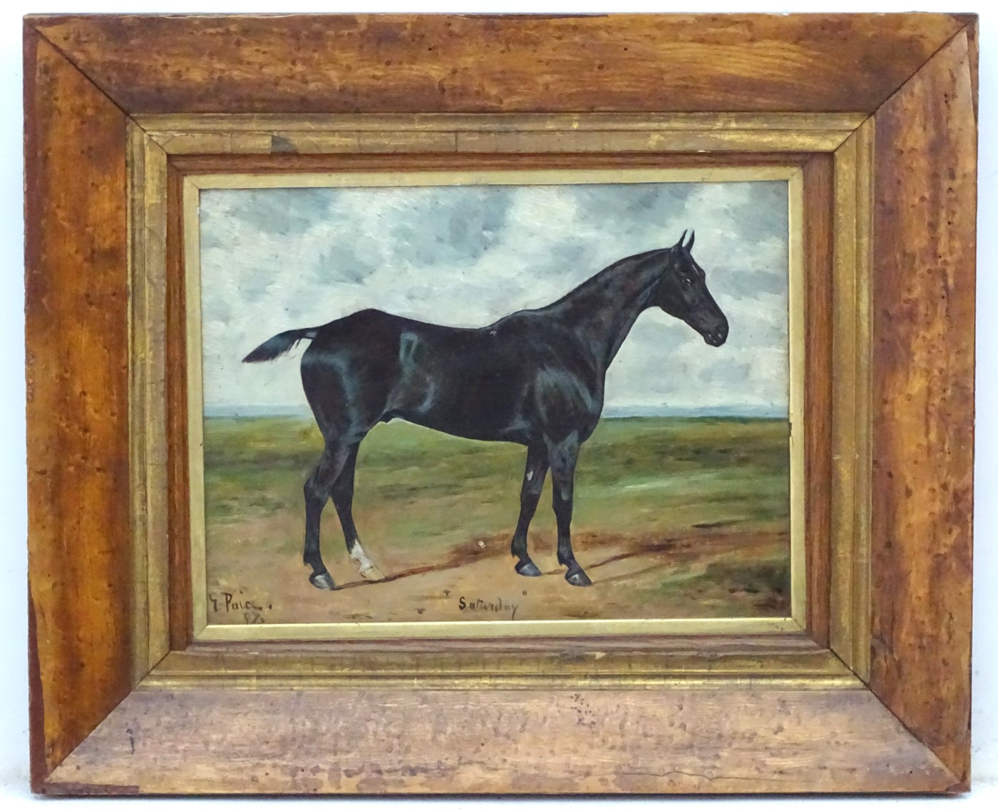 George Paice (1854-1925) Equine School Oil on board 'Saturday 97' portrait of a Black Horse with