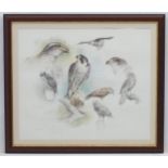 Birds of Prey, After Joel Kirk (1948), Coloured print, Peregrine Falcon, American Goshawk, Goshawk,