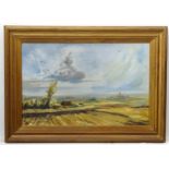 Lucas XX, Oil on canvas, An extensive farm land view, Signed lower left.