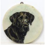 K C Brown early XX Canine School, Oil on marble , a tondo , Portrait of a black Labrador,