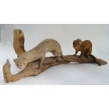 A stuffed mink taxidermy CONDITION: Please Note - we do not make reference to the