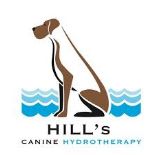 A Dog Swim Kindly donated by Hills Canine Hydrotherapy.