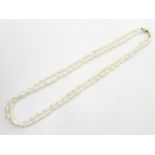 A 2 strand pearl necklace with 14k clasp.