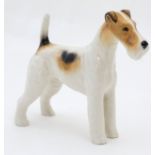 A Beswick model of a wire-haired fox terrier dog, Champion '' Ch.