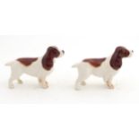 Two Beswick Cocker spaniel dog models , number 1754, in liver and white gloss finish,