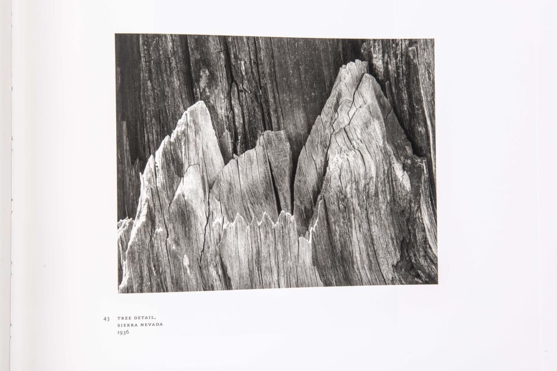 Grand ensemble de livre de photographies de paysages : - Ansel Adams, Yosemite and [...] - Bild 9 aus 26