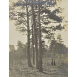 *Trees. A group of twelve gelatin silver print photographs of trees and woods, France (?), 1901,