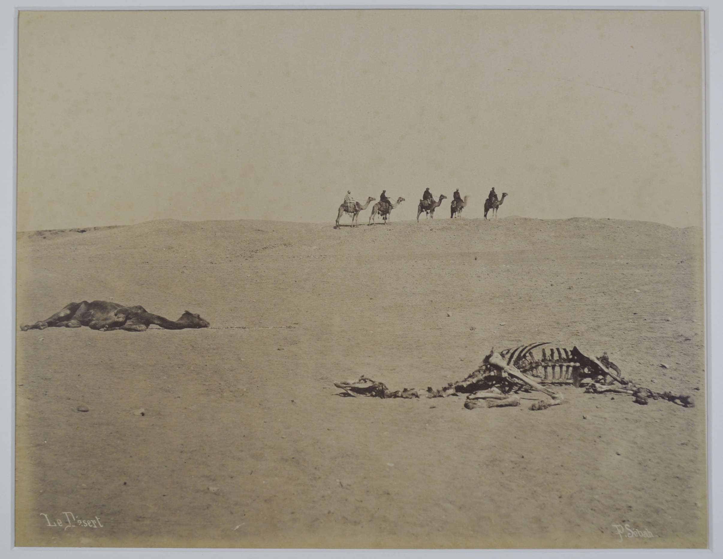 *Lehnert (Rudolf & Landrock, Ernst). Prayer in the Desert, 1910, gelatin silver print photograph, - Image 3 of 6