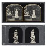 *Stereoscopic Ambrotypes. A pair of stereoscopic ambrotypes of statuary in the Crystal Palace,