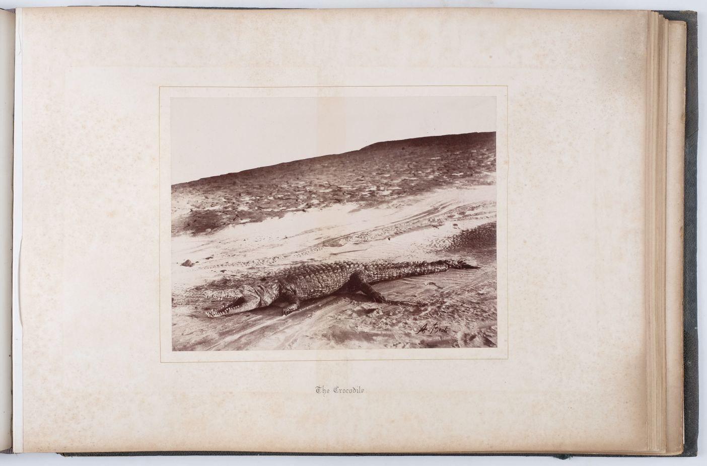 Middle East. Large-format album of albumen prints by Pascal S‚bah, the Bonfils studio, Antonio Beato - Image 5 of 12