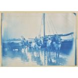 *West Sussex - Bosham. A group of fourteen photographs of Bosham and environs, c. 1890, all but