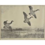 *Benson (Frank Weston, 1862-1951). Three Geese, 1931, lithograph on wove paper, from the edition