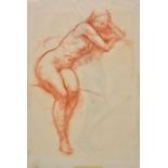 *Johnson (Edward Borough, 1866-1949). Group of seven studies of the female nude, red chalk on paper,