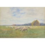 *Parks (Kate Augusta, 1865-). Grazing Sheep, watercolour on paper, signed lower left, 24.5 x 35cm (