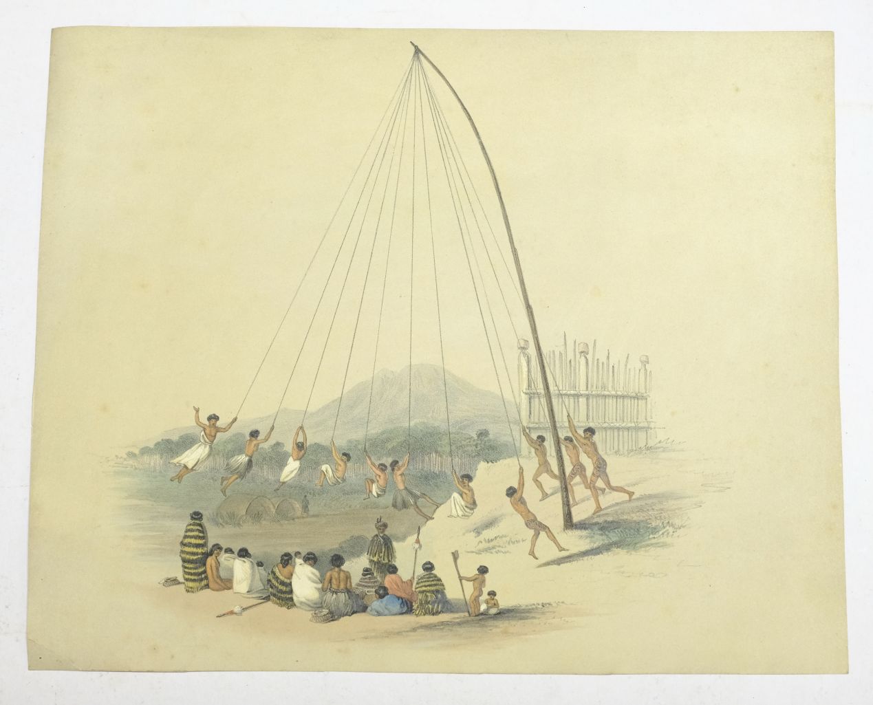 *Angas (George French). Maori, Or, Native Swing, [from the New Zealander's Illustrated, 1857],